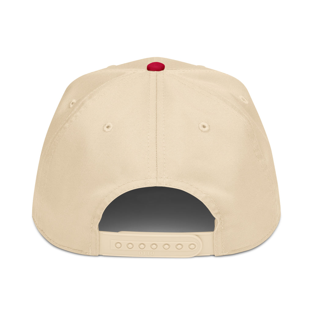 Dream Big - Hat