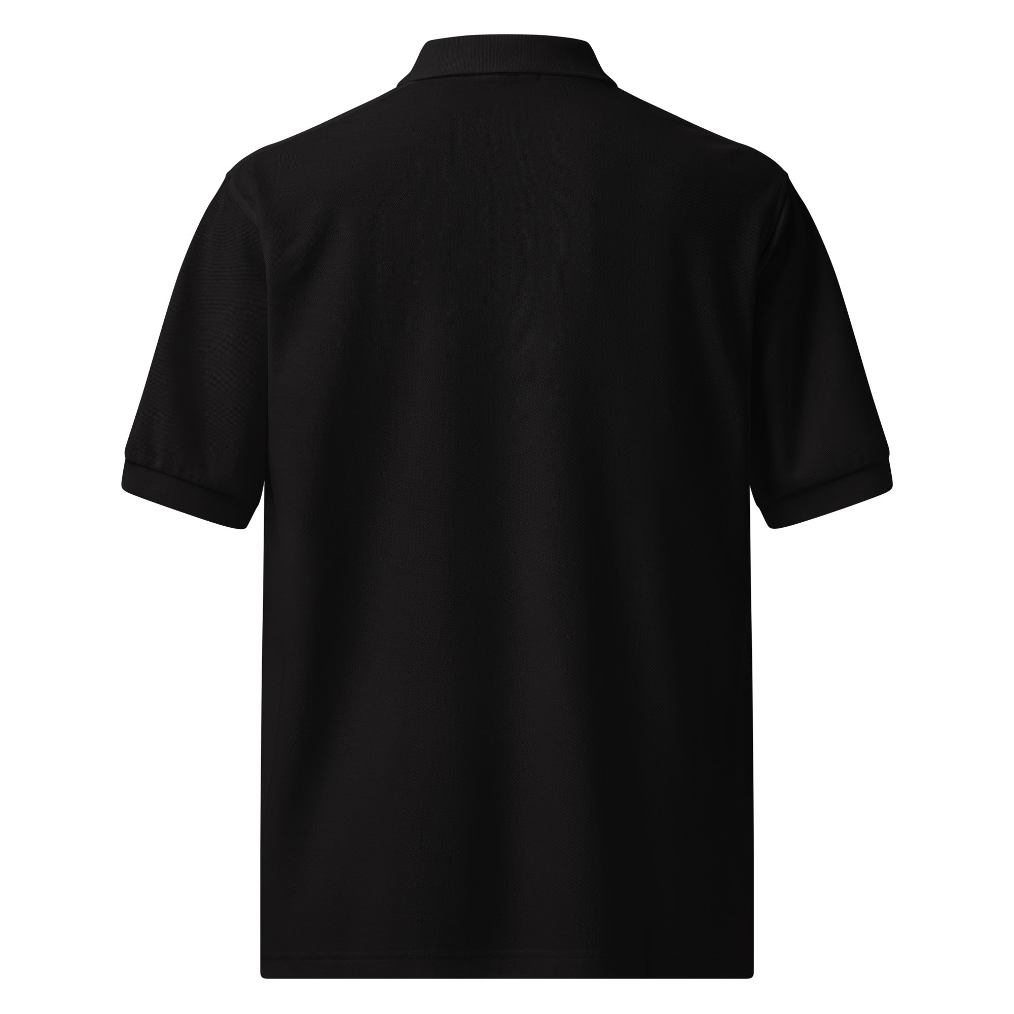 New CarPro Polo